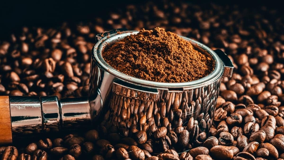 Leftover Coffee Grounds Could Become Building Insulation, With Lab Tests Matching Polystyrene Performance