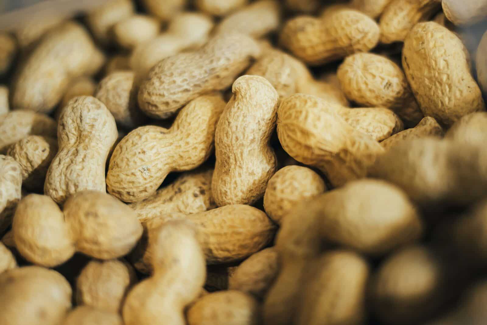 Peanut Shell Waste Could Become a New Source of Graphene, and the Production Method Looks Surprisingly Practical