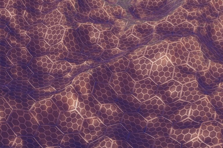 Bioprinted tissue scaffold