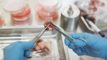 How 3D-printed organs are moving from science fiction to the lab bench