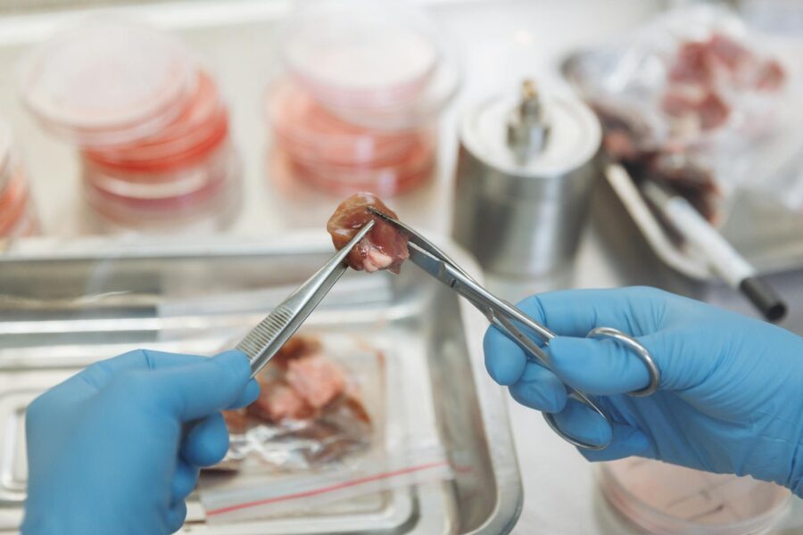 Bioprinter printing tissue