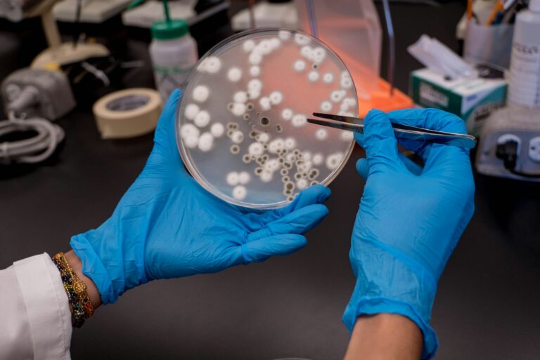 Bioprinted tissue sample