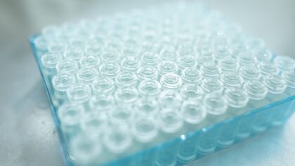 How bio-inspired materials are learning to heal themselves