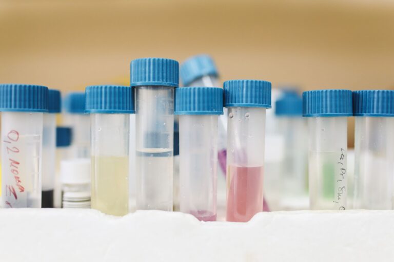 Bio inspired materials