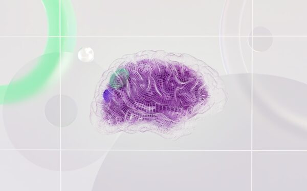 How brain organoids are changing neuroscience and medical research