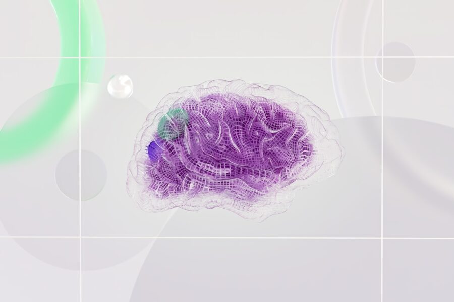 Brain organoid lab