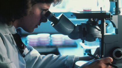 How brain organoids are helping scientists study human neurons in a dish