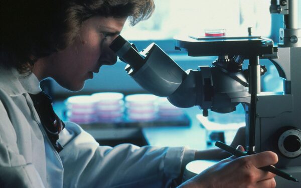 How brain organoids are helping scientists study human neurons in a dish