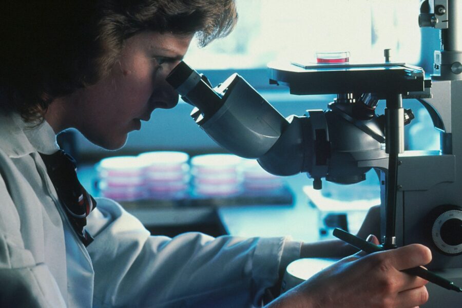 Brain organoid lab