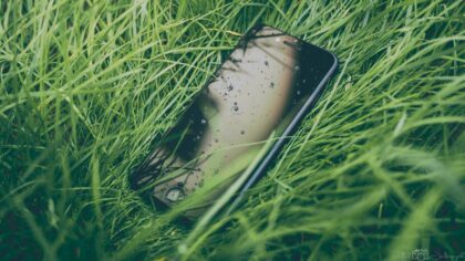 How citizen science is helping track insects, stars and even microplastics