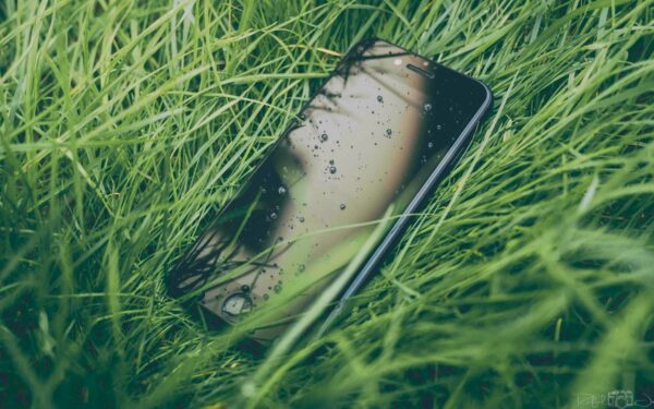 How citizen science is helping track insects, stars and even microplastics