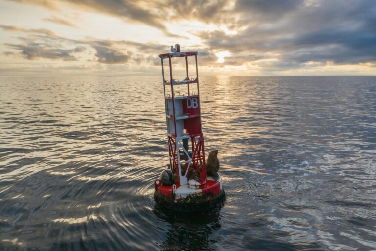 Autonomous ocean float