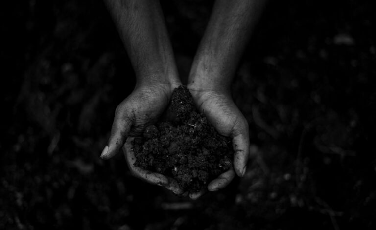 Farmer hand holding