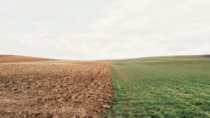 How soil microbes quietly support food, climate and human health