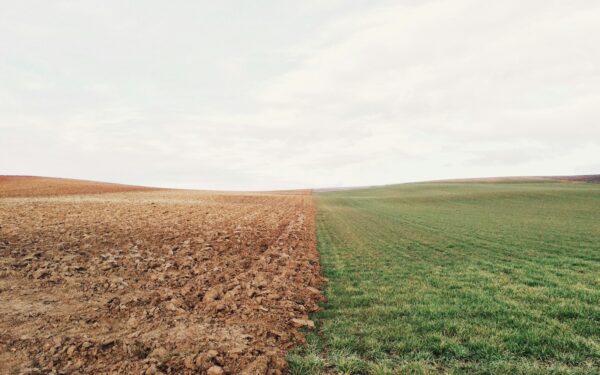 How soil microbes quietly support food, climate and human health