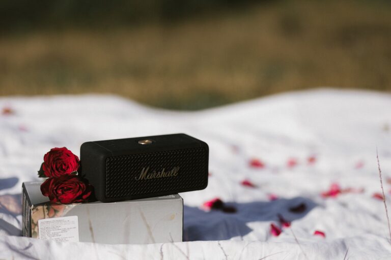 Portable speaker outdoor