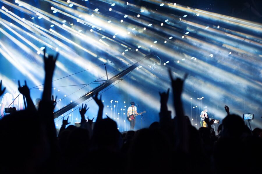 Concert crowd earplugs