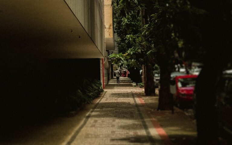 Street trees shade