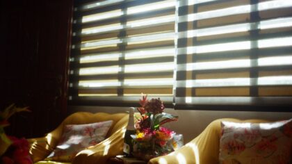 Smart blinds explained: how to choose, install and automate them in any home