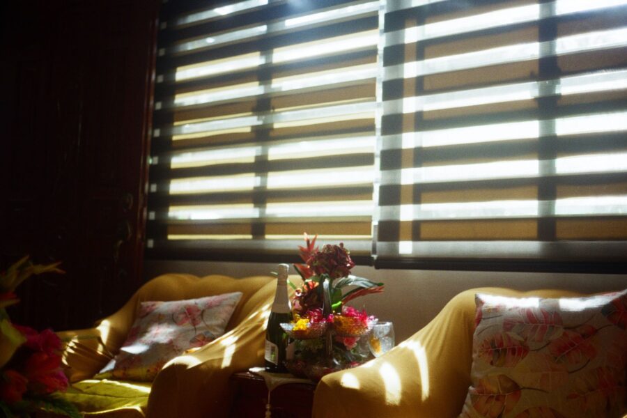 Smart blinds living