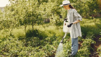 Smart gardens at home: how connected sensors and timers can keep plants thriving