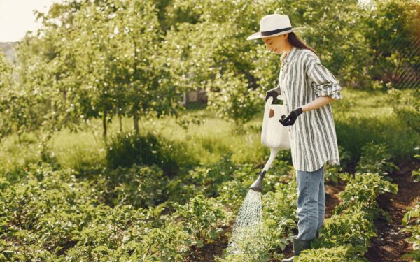 Smart gardens at home: how connected sensors and timers can keep plants thriving