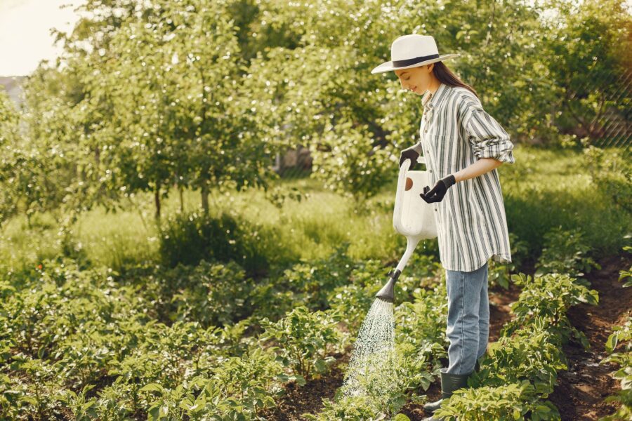 Smart garden irrigation