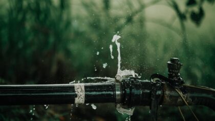 Smart water leak detectors: a simple way to protect your home from hidden damage