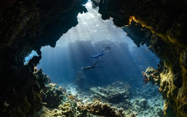 How deep-sea microbes are shaping climate science and future technology