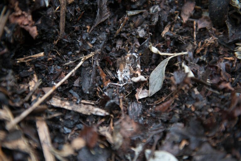 Industrial composting plant
