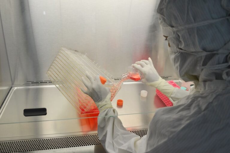 Neuroscientist working stem