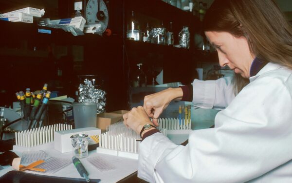 How gene drives could reshape ecosystems and why scientists are so cautious