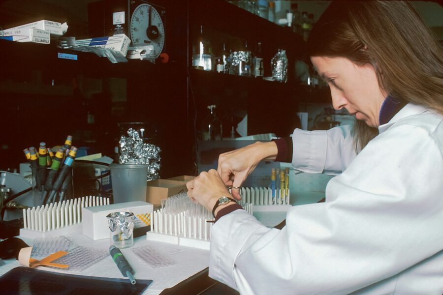 Laboratory mosquito cages