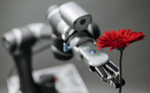 How soft robots are learning to move more like living creatures