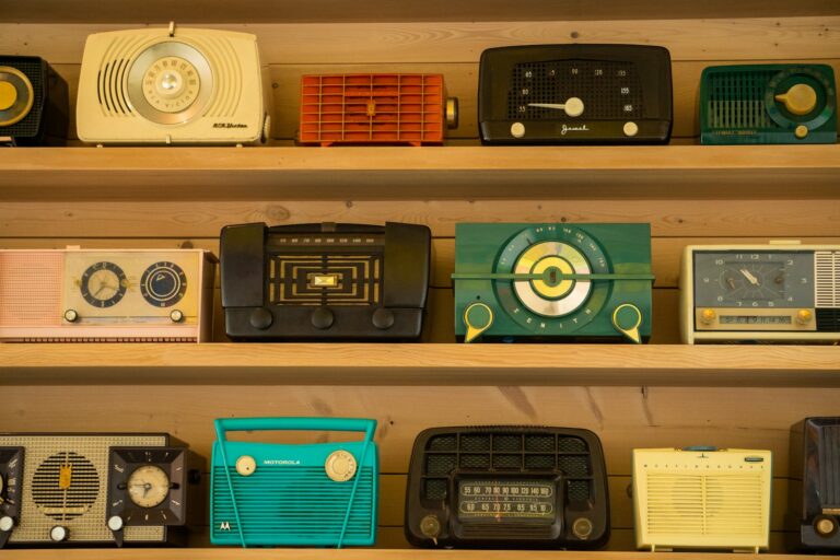Portable radio shelf