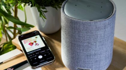 How to use AI voice assistants safely and productively at home