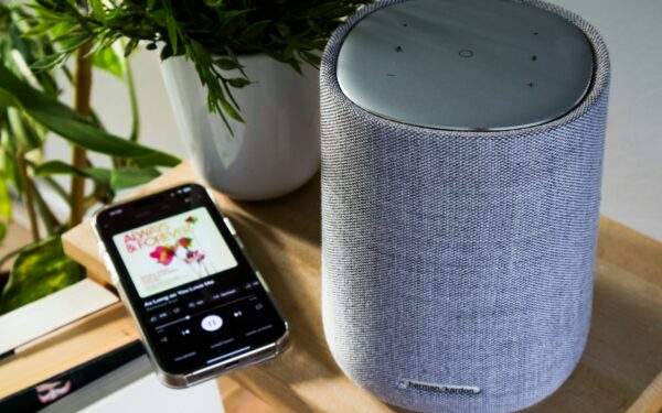 How to use AI voice assistants safely and productively at home
